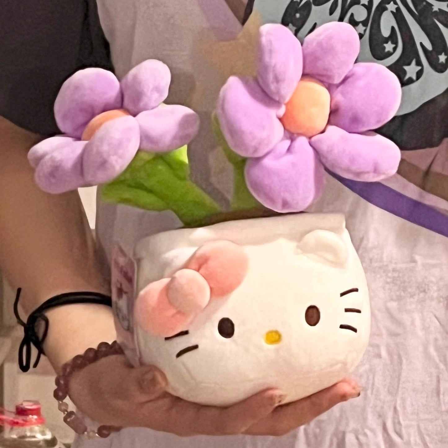 Bouquet plant of hello kitty
