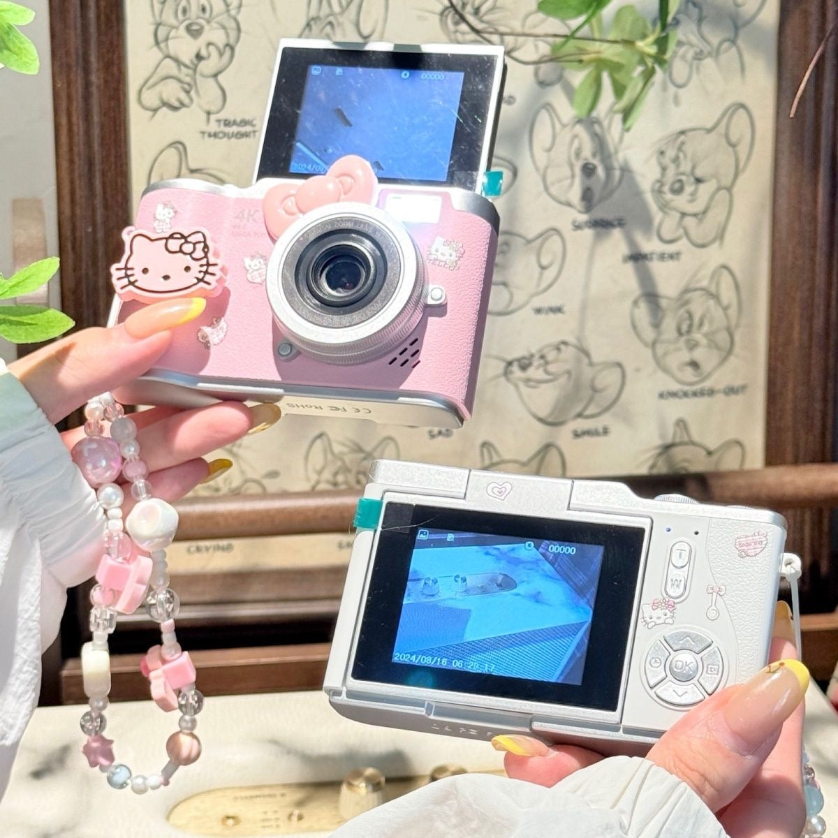 Hello kitty ccd flip cameras