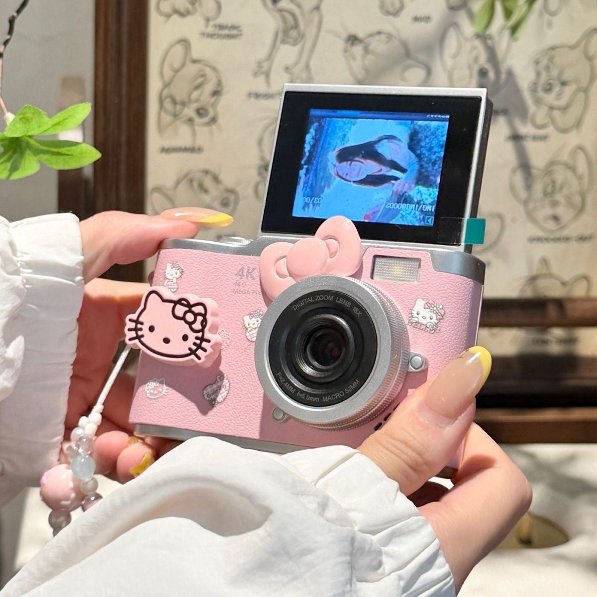 Hello kitty ccd flip cameras