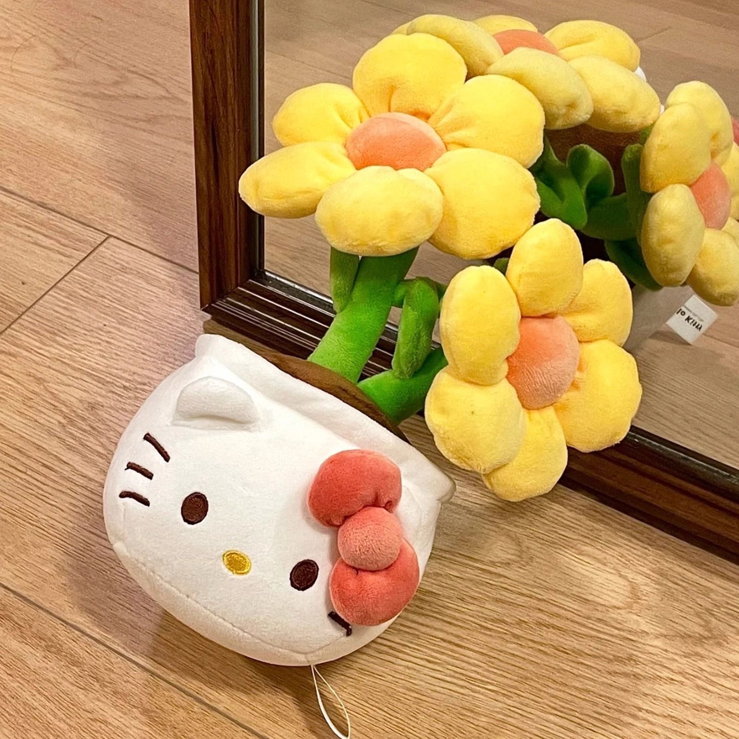 Bouquet plant of hello kitty