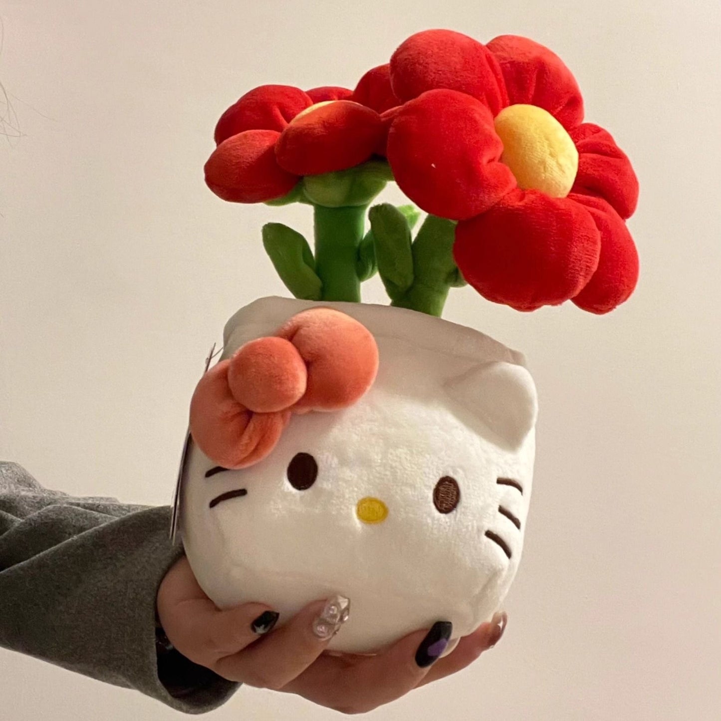 Bouquet plant of hello kitty